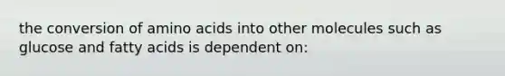 the conversion of amino acids into other molecules such as glucose and fatty acids is dependent on: