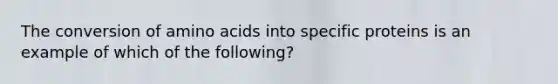 The conversion of amino acids into specific proteins is an example of which of the following?