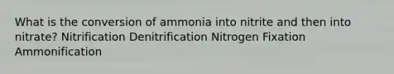 What is the conversion of ammonia into nitrite and then into nitrate? Nitrification Denitrification Nitrogen Fixation Ammonification