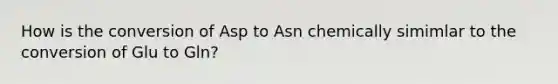 How is the conversion of Asp to Asn chemically simimlar to the conversion of Glu to Gln?