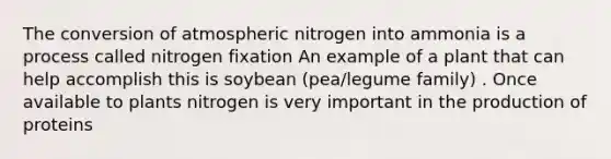 The conversion of atmospheric nitrogen into ammonia is a process called nitrogen fixation An example of a plant that can help accomplish this is soybean (pea/legume family) . Once available to plants nitrogen is very important in the production of proteins