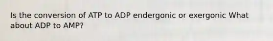 Is the conversion of ATP to ADP endergonic or exergonic What about ADP to AMP?