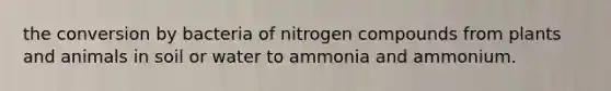 the conversion by bacteria of nitrogen compounds from plants and animals in soil or water to ammonia and ammonium.