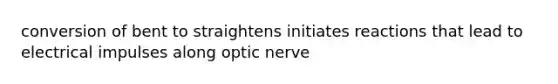 conversion of bent to straightens initiates reactions that lead to electrical impulses along optic nerve