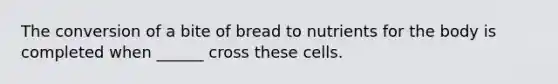 The conversion of a bite of bread to nutrients for the body is completed when ______ cross these cells.