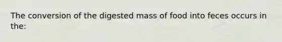 The conversion of the digested mass of food into feces occurs in the: