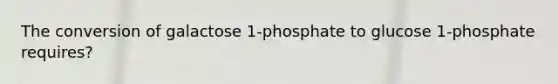 The conversion of galactose 1-phosphate to glucose 1-phosphate requires?