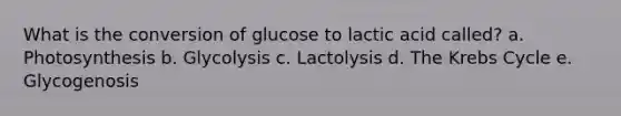 What is the conversion of glucose to lactic acid called? a. Photosynthesis b. Glycolysis c. Lactolysis d. The Krebs Cycle e. Glycogenosis