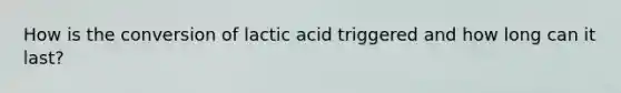 How is the conversion of lactic acid triggered and how long can it last?