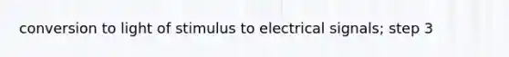 conversion to light of stimulus to electrical signals; step 3