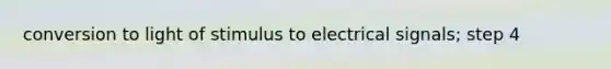 conversion to light of stimulus to electrical signals; step 4