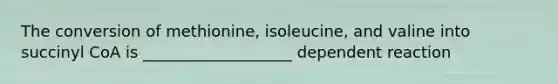 The conversion of methionine, isoleucine, and valine into succinyl CoA is ___________________ dependent reaction