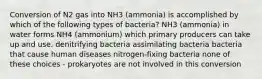 Conversion of N2 gas into NH3 (ammonia) is accomplished by which of the following types of bacteria? NH3 (ammonia) in water forms NH4 (ammonium) which primary producers can take up and use. denitrifying bacteria assimilating bacteria bacteria that cause human diseases nitrogen-fixing bacteria none of these choices - prokaryotes are not involved in this conversion