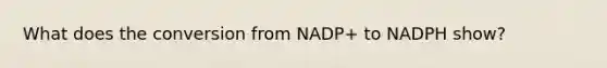 What does the conversion from NADP+ to NADPH show?