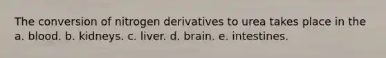 The conversion of nitrogen derivatives to urea takes place in the a. blood. b. kidneys. c. liver. d. brain. e. intestines.