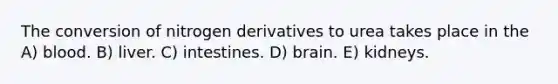 The conversion of nitrogen derivatives to urea takes place in the A) blood. B) liver. C) intestines. D) brain. E) kidneys.