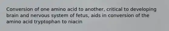 Conversion of one amino acid to another, critical to developing brain and nervous system of fetus, aids in conversion of the amino acid tryptophan to niacin