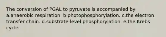 The conversion of PGAL to pyruvate is accompanied by a.anaerobic respiration. b.photophosphorylation. c.the electron transfer chain. d.substrate-level phosphorylation. e.the Krebs cycle.