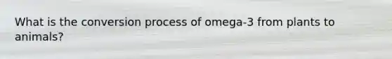 What is the conversion process of omega-3 from plants to animals?