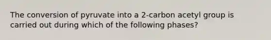 The conversion of pyruvate into a 2-carbon acetyl group is carried out during which of the following phases?