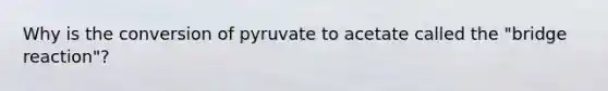 Why is the conversion of pyruvate to acetate called the "bridge reaction"?