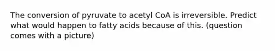 The conversion of pyruvate to acetyl CoA is irreversible. Predict what would happen to fatty acids because of this. (question comes with a picture)