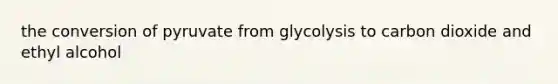 the conversion of pyruvate from glycolysis to carbon dioxide and ethyl alcohol