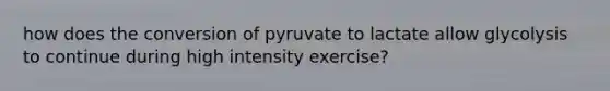 how does the conversion of pyruvate to lactate allow glycolysis to continue during high intensity exercise?