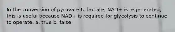 In the conversion of pyruvate to lactate, NAD+ is regenerated; this is useful because NAD+ is required for glycolysis to continue to operate. a. true b. false