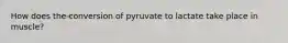 How does the conversion of pyruvate to lactate take place in muscle?