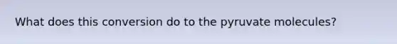 What does this conversion do to the pyruvate molecules?