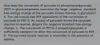 How does the conversion of pyruvate to phosphoenolpyruvate (PEP) in gluconeogenesis overcome the large, negative, standard free‑energy change of the pyruvate kinase reaction in glycolysis? A. The cell invests two ATP equivalents in the conversion of pyruvate to PEP. B. An excess of pyruvate drives the pyruvate reaction in reverse, despite the negative standard free‑energy change. C. The conversion of PEP to 2-phosphoglycerate is sufficiently exergonic to drive the conversion of pyruvate to PEP. D. The pyruvate kinase reaction is reversible in the presence of alanine.