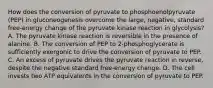 How does the conversion of pyruvate to phosphoenolpyruvate (PEP) in gluconeogenesis overcome the large, negative, standard free‑energy change of the pyruvate kinase reaction in glycolysis? A. The pyruvate kinase reaction is reversible in the presence of alanine. B. The conversion of PEP to 2-phosphoglycerate is sufficiently exergonic to drive the conversion of pyruvate to PEP. C. An excess of pyruvate drives the pyruvate reaction in reverse, despite the negative standard free‑energy change. D. The cell invests two ATP equivalents in the conversion of pyruvate to PEP.