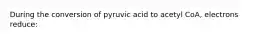 During the conversion of pyruvic acid to acetyl CoA, electrons reduce: