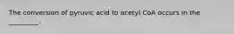 The conversion of pyruvic acid to acetyl CoA occurs in the _________.