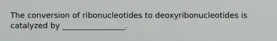 The conversion of ribonucleotides to deoxyribonucleotides is catalyzed by ________________.