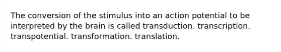 The conversion of the stimulus into an action potential to be interpreted by the brain is called transduction. transcription. transpotential. transformation. translation.