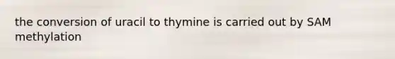 the conversion of uracil to thymine is carried out by SAM methylation