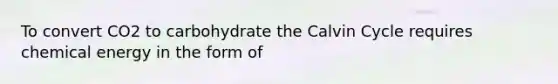 To convert CO2 to carbohydrate the Calvin Cycle requires chemical energy in the form of