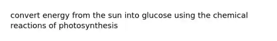 convert energy from the sun into glucose using the chemical reactions of photosynthesis