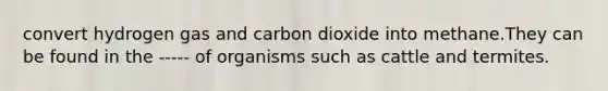 convert hydrogen gas and carbon dioxide into methane.They can be found in the ----- of organisms such as cattle and termites.