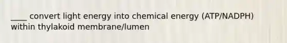 ____ convert light energy into chemical energy (ATP/NADPH) within thylakoid membrane/lumen