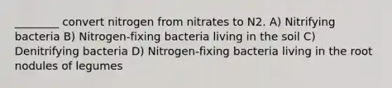 ________ convert nitrogen from nitrates to N2. A) Nitrifying bacteria B) Nitrogen-fixing bacteria living in the soil C) Denitrifying bacteria D) Nitrogen-fixing bacteria living in the root nodules of legumes