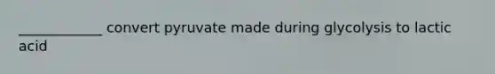 ____________ convert pyruvate made during glycolysis to lactic acid