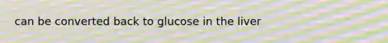 can be converted back to glucose in the liver