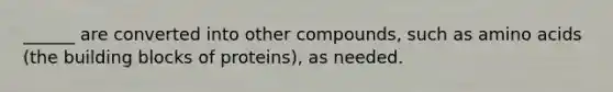 ______ are converted into other compounds, such as <a href='https://www.questionai.com/knowledge/k9gb720LCl-amino-acids' class='anchor-knowledge'>amino acids</a> (the building blocks of proteins), as needed.