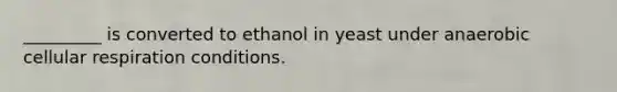 _________ is converted to ethanol in yeast under anaerobic cellular respiration conditions.