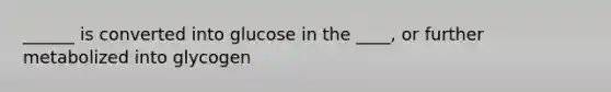 ______ is converted into glucose in the ____, or further metabolized into glycogen