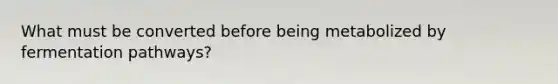What must be converted before being metabolized by fermentation pathways?