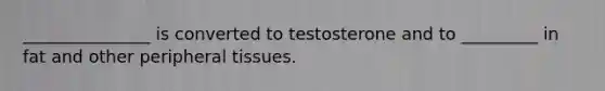 _______________ is converted to testosterone and to _________ in fat and other peripheral tissues.